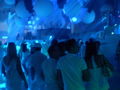 sensation white 58946490