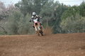 motocross 20399902