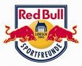 Red Bull 22576099