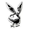 playboy bunnys 19856796