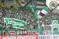 sk rapid wien---mein leben 68005942