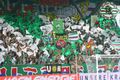 sk rapid wien---mein leben 68005949