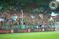 sk rapid wien---mein leben 68005952