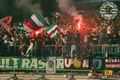 sk rapid wien---mein leben 68005958