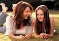 Gilmore Girls 24519756