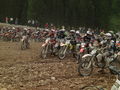 Erzbergrodeo 08 39771962