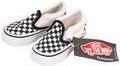 vAnS.................... 19950380