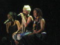 P!NK 06.07.07 burg clam  52934233