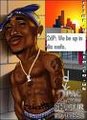 2pac4ever, total erehrenwerter mann 21588836