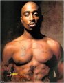 2pac4ever, total erehrenwerter mann 21588840