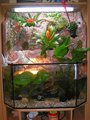 PALUDARIUM 25621486