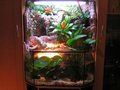 PALUDARIUM 25621492