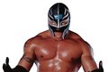 REY Mysterio 20042590