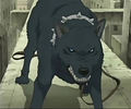 Wolfs Rain!! 56938943