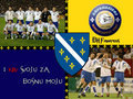 Bosna i Herzegovina 30689010