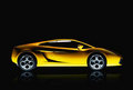 lamborgini 20399917