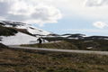 Sognefjell 61031899