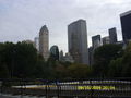 New York 2009 68718294