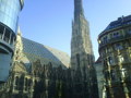 Wien wochn voi die gaudi!!!!!........... 32390877