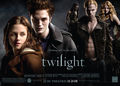 Twilight 54439182