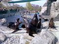 Tiergarten Schönbrunn 27218017