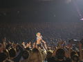 Gwen Stefani Konzert 2008 59690454