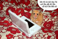 Hamster!!! 56592031