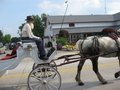 Amish Country, Shipshewana Indiana 22395473