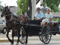 Amish Country, Shipshewana Indiana 22395477