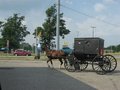 Amish Country, Shipshewana Indiana 22395483