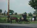 Amish Country, Shipshewana Indiana 22395486