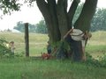 Amish Country, Shipshewana Indiana 22395513
