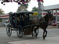 Amish Country, Shipshewana Indiana 22395538