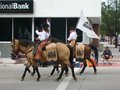 Cheyenne, Rodeo days 24585648