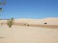 Michigan - Sand Dunes 2006 7205383