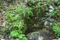 Vogelgesang Klamm  09 59124924