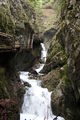 Vogelgesang Klamm  09 59125063