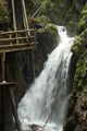 Vogelgesang Klamm  09 59125196