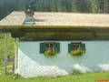 Stögneralm 2006 ... 7811004