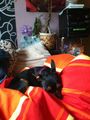 ?  Mein Zwergrehpinscher Luna!! ?   74750536