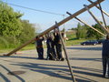 Maibaum auslesn in Oberbayring 20696405