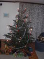 Weihnachten 2008  50540271