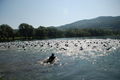 Linz Triathlon 24.5.08 38584743