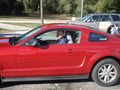 Mustang 300 PS 64773891