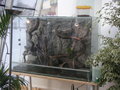 Terrarium 13479842