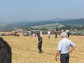 Fendt Feldtag 2009 in Melk 64285258