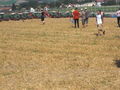 Fendt Feldtag 2009 in Melk 64285284