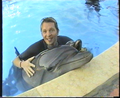 Delphin schwimmen 8780061