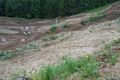 Motocross in Höhnhart 59492546