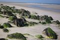 urlaub an der  nordsee 60252077